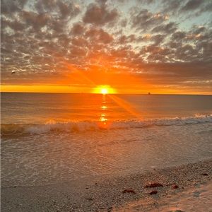 COPY - LIVE SHOW ITEMS LISTING